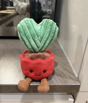 Amuseables Kerrii Cactus Jellycat photo uploaded by Seni113