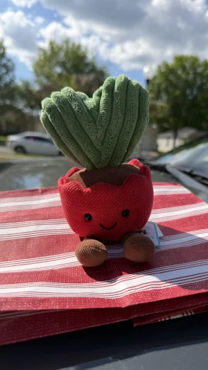 Amuseables Kerrii Cactus Jellycat photo
