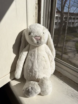 Bashful Cream Bunny - Large Jellycat | Jelly Journal