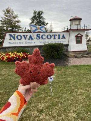 Amuseables Maple Leaf 🇨🇦 Jellycat photo