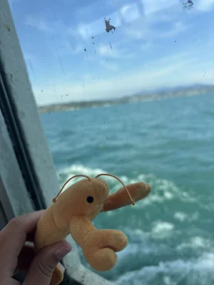 Sensational Seafood Langoustine Jellycat photo