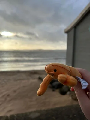 Sensational Seafood Langoustine Jellycat photo