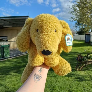 Splootie Puppy Jellycat photo