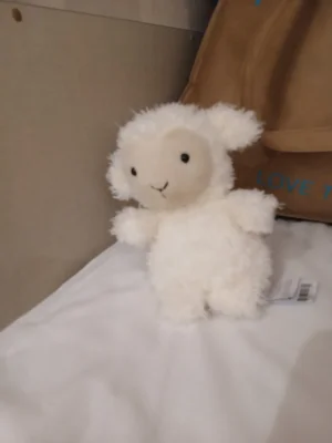 A photo of Little Lamb Jellycat taken by Ameliaj2015
