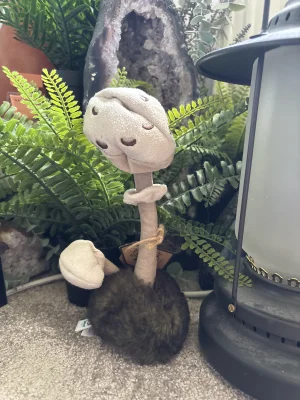 Wild Nature Parasol Mushroom Jellycat | Jelly Journal