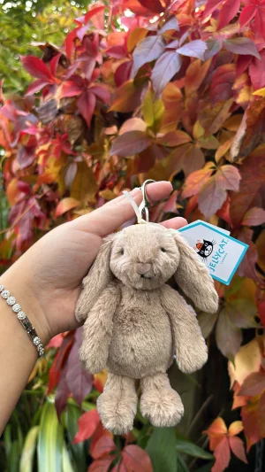 A photo of Bashful Beige Bunny Bag Charm Jellycat taken by Jelly_Journey