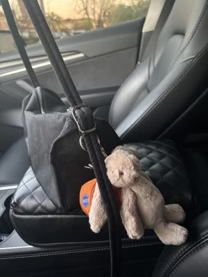 A photo of Bashful Beige Bunny Bag Charm Jellycat taken by jelly20