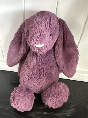 Bashful Plum Bunny - Medium Jellycat photo uploaded by Jellytastic