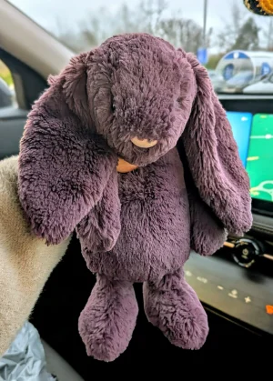 Bashful Plum Bunny - Medium Jellycat | Jelly Journal