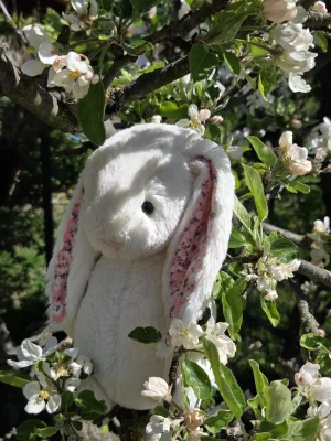 Blossom Cherry Bunny - Medium Jellycat photo uploaded by Eliza23