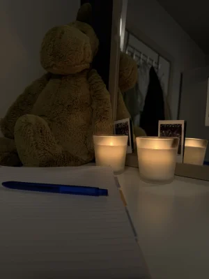 Bashful Dino - Huge Jellycat photo