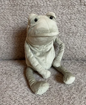 A photo of Fergus Frog - Medium Jellycat taken by Abyss'Dragons