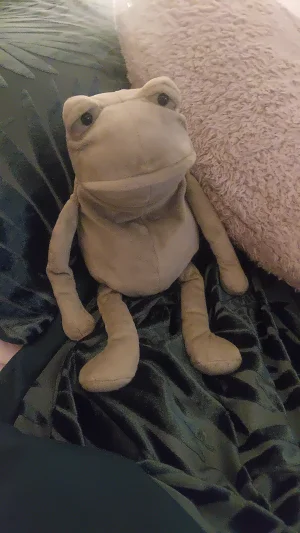 Fergus Frog - Medium Jellycat photo