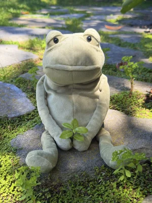 A photo of Fergus Frog - Medium Jellycat taken by jellycatangel