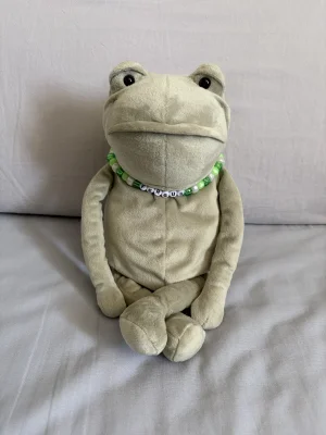 A photo of Fergus Frog - Medium Jellycat taken by twigletfitz