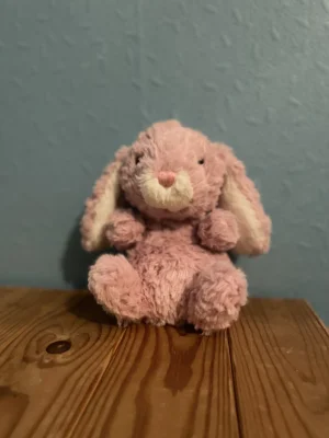 Yummy Bunny - Pink Jellycat | Jelly Journal