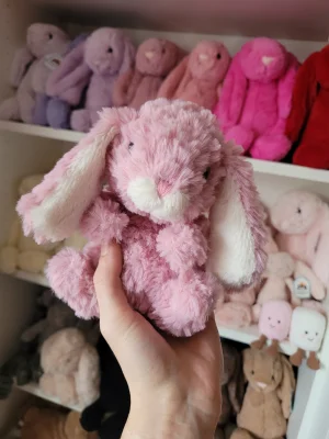 Yummy Bunny - Pink Jellycat | Jelly Journal