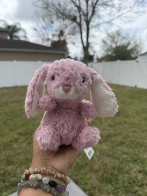Yummy Bunny - Pink Jellycat | Jelly Journal