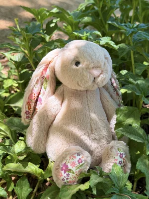 Blossom Beige Bunny 'Petal' - Small Jellycat | Jelly Journal