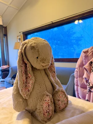 Blossom Beige Bunny 'Petal' - Huge Jellycat | Jelly Journal