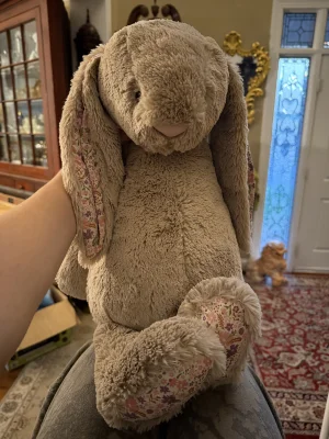 Blossom Beige Bunny 'Petal' - Huge Jellycat | Jelly Journal