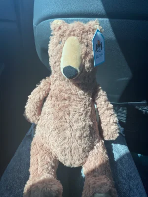 A photo of Enzo Bear Jellycat taken by paigey