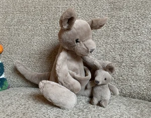 A photo of Kara Kangaroo - Large Jellycat taken by Abyss'Dragons