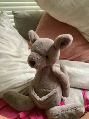 A photo of Kara Kangaroo - Large Jellycat taken by Jellyfan456