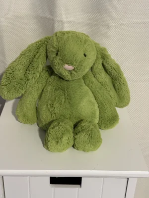 Bashful Apple Bunny - Medium Jellycat | Jelly Journal