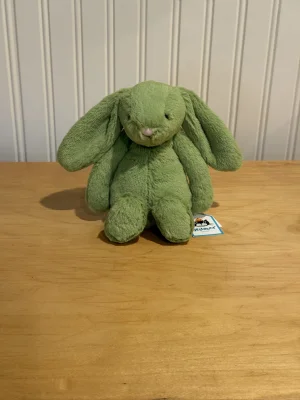 Bashful Apple Bunny - Small Jellycat | Jelly Journal