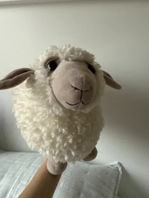 Rolbie Sheep Cream - Medium Jellycat | Jelly Journal