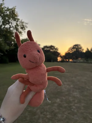 Wriggidig Ant Jellycat photo