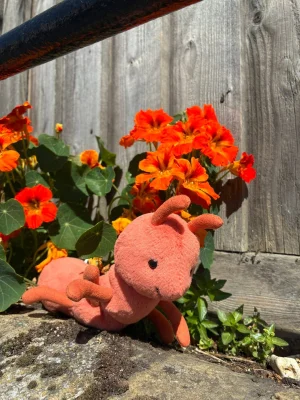 Wriggidig Ant Jellycat photo