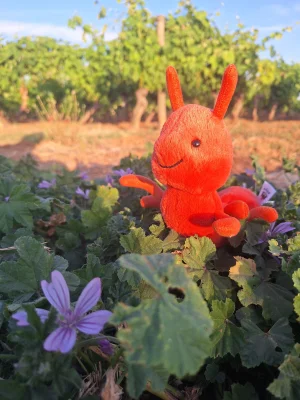 Wriggidig Ant Jellycat photo