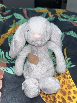 A photo of Bashful Silver Bunny - Small Jellycat taken by BeFf_03