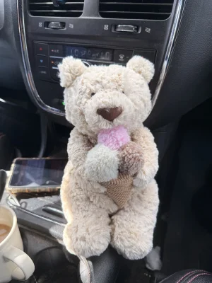 Lifestyle photo of Oatus Bear with Ice Cream 🇺🇸 uploaded by kerggy