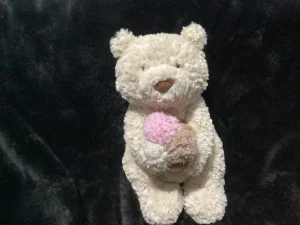 Oatus Bear with Ice Cream 🇺🇸 Jellycat photo uploaded by Jellybunnys1984