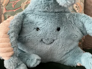 A photo of Skye Starfish Jellycat taken by jellyelly23