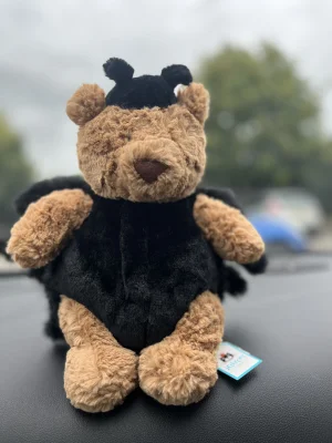 Bartholomew Bear 'Spider' Jellycat | Jelly Journal