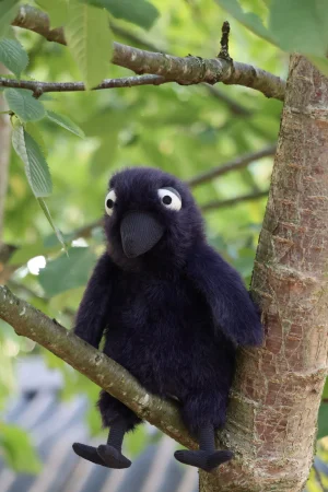 Hocus Crow Jellycat | Jelly Journal