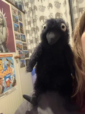 Hocus Crow Jellycat photo
