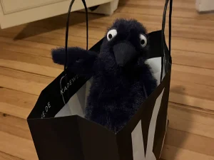 Hocus Crow Jellycat photo
