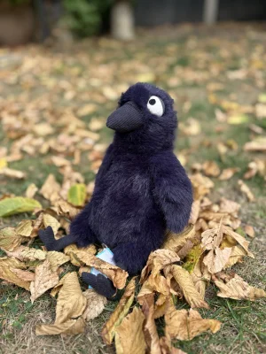 ハロウィン 新作 新品 jelly cat hocus crow カラス Hocus Crow Jellycat | Jelly Journal