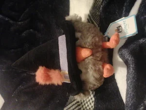 Heccaty Hootnightly Jellycat | Jelly Journal