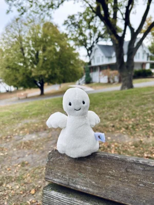 Photo by kc_plushies