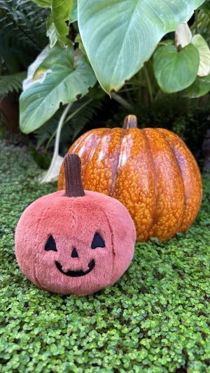 A photo of Ooky Jack O Lantern Jellycat taken by Jelly_Journey