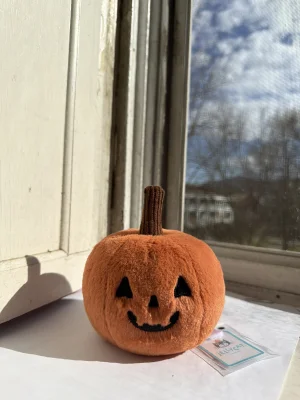 A photo of Ooky Jack O Lantern Jellycat taken by katsjellies