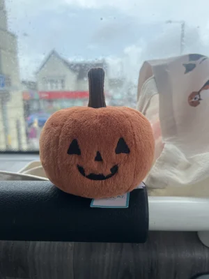 A photo of Ooky Jack O Lantern Jellycat taken by a_st0rk
