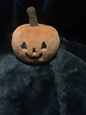 A photo of Ooky Jack O Lantern Jellycat taken by Jellybunnys1984