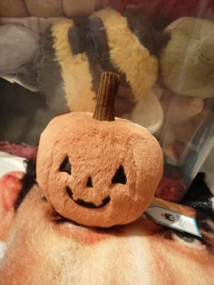 A photo of Ooky Jack O Lantern Jellycat taken by Beckylovespatch1995